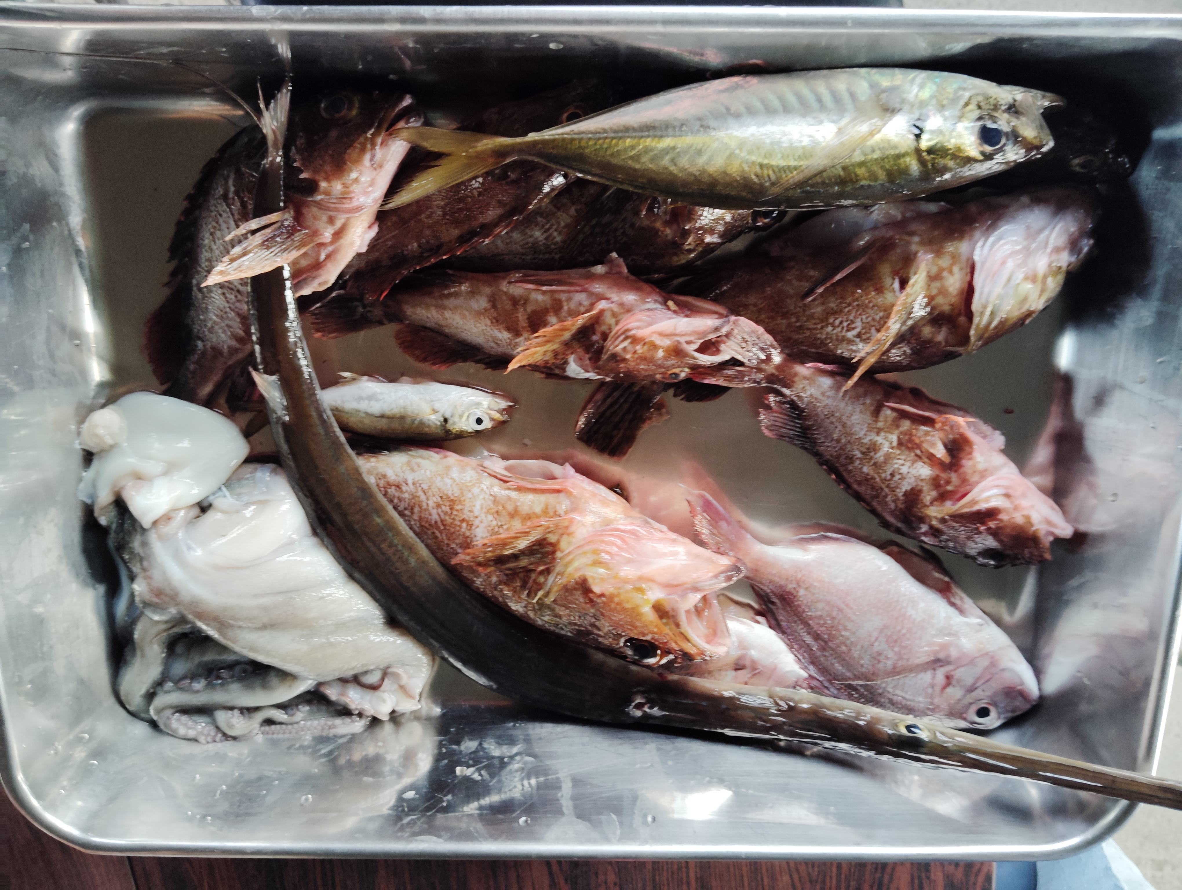 新鮮な魚介類
